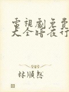 电视剧免费追剧大全暗夜行者