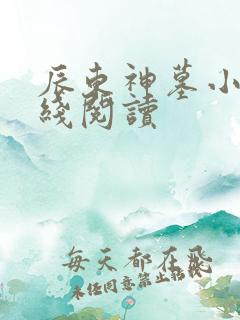 辰东神墓小说在线阅读