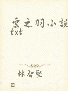 云之羽小说原著txt