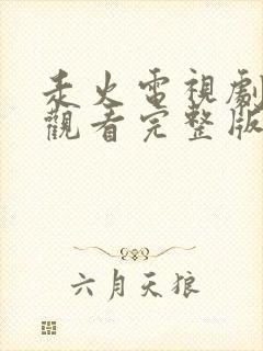 走火电视剧免费观看完整版高清全集