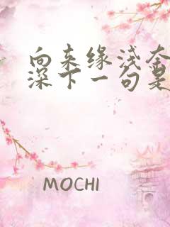 向来缘浅奈何情深下一句是什么