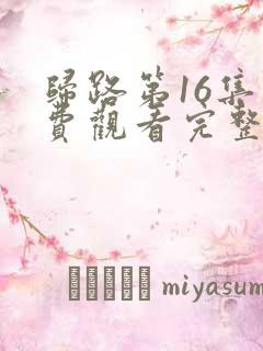 归路第16集免费观看完整版