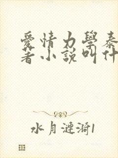 爱情力学泰剧原著小说叫什么