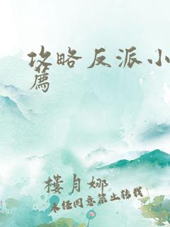 攻略反派小说推荐