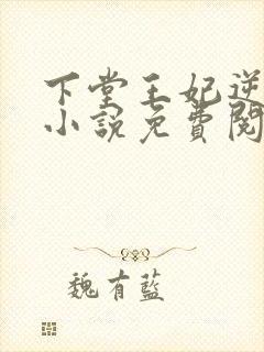 下堂王妃逆袭记小说免费阅读