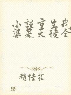 小说重生我的老婆是天后全文阅读