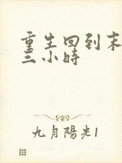 重生回到末世前三小时