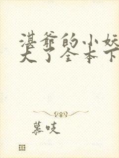 湛爷的小妖精长大了全本下载