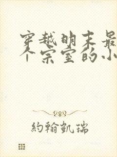 穿越明末最后一个宗室的小说