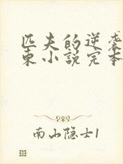 匹夫的逆袭刘汉东小说完本免费阅读