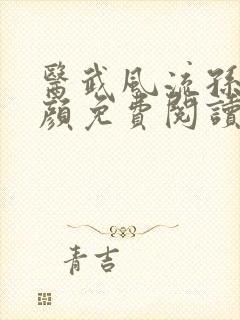 医武风流孙哲朱颜免费阅读