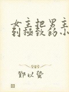 女主把男主囚禁到极致的小说