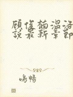 顾俊楠温洛初小说最新章节更新内容