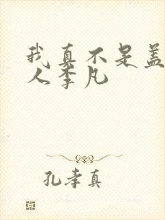 我真不是盖世高人李凡