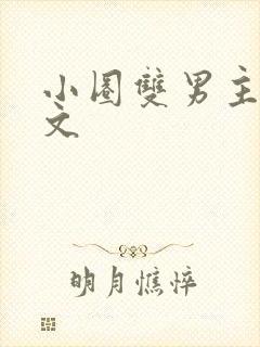 小圈双男主训诫文