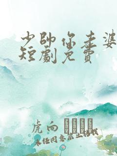 少帅你老婆又跑短剧免费