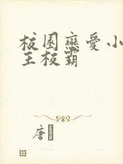 校园恋爱小说男主校霸