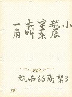 一本穿越小说主角叫叶辰