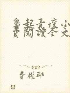 枭起青壤小说免费阅读全文在线