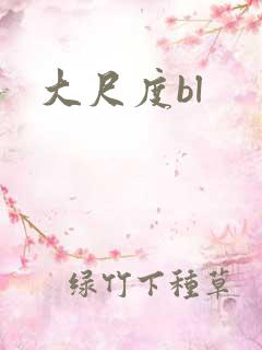 大尺度bl