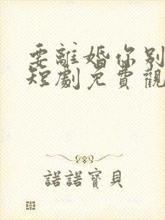 要离婚你别后悔短剧免费观看