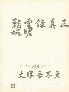 朝雪录真正的秦婉呢