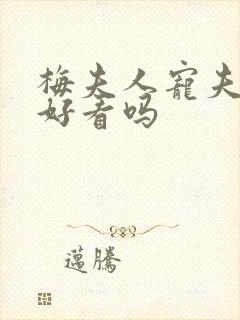 梅夫人宠夫日常好看吗