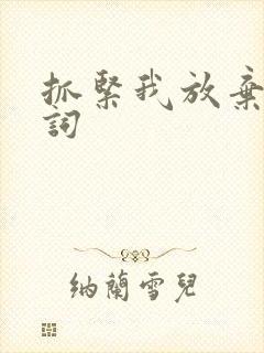 抓紧我放弃我歌词