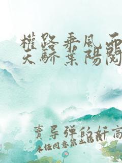 权路乘风而起化天骄叶阳阅读全文