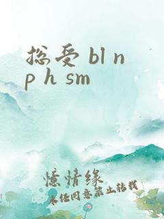 总受 bl np h sm