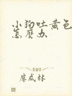 小狗吐黄色粘液怎么办