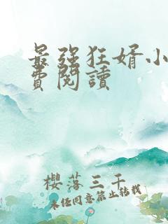 最强狂婿小说免费阅读