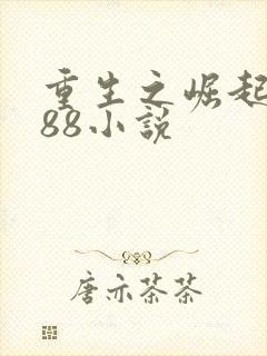 重生之崛起1988小说