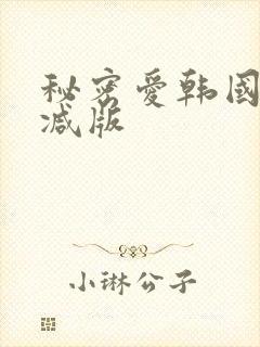 秘密爱韩国未删减版