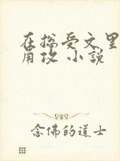 在总受文里抢主角攻 小说