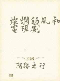 灿烂的风和海 电视剧