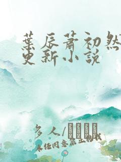 叶辰萧初然最快更新小说