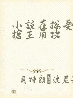 小说在总受文里抢主角攻