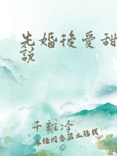 先婚后爱甜宠小说