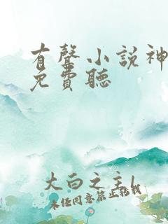 有声小说神王令免费听