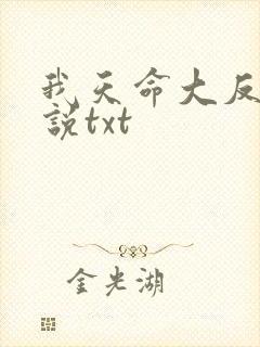 我天命大反派小说txt