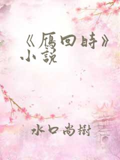 《雁回时》原著小说