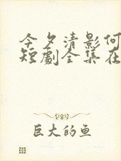 今夕清影何处寻短剧全集在线观看