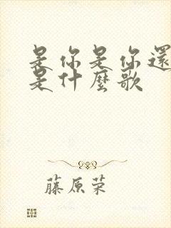 是你是你还是你是什么歌