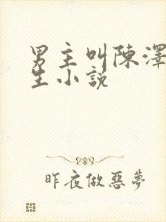 男主叫陈泽的重生小说