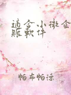 适合小微企业记账软件