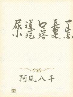 尿道口长了一圈小疙瘩是怎么回事