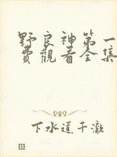 野良神第一季免费观看全集