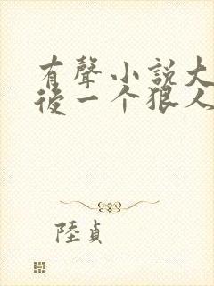 有声小说大明最后一个狠人