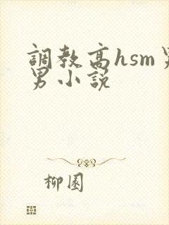 调教高hsm男男小说